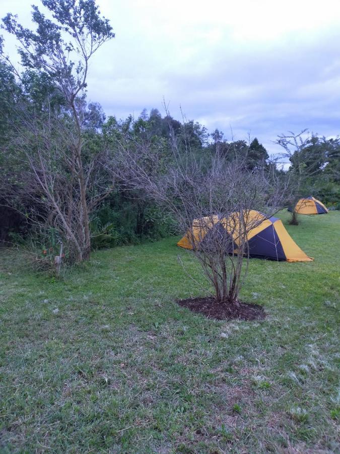 Camp Mahon Gardens Hotel Nanyuki Kültér fotó
